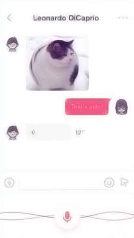 在线ddos网页端